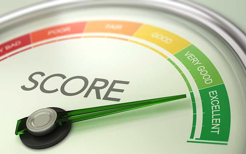 The Role of Credit Scores in Loan Approval Decisions